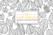 Hand drawn leaves collection, a Decorative Illustration by IreneArt illustrations (Thumbnail 1 of 4)