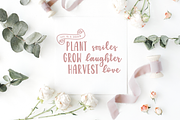 Garden Fancy Font Duo with Extras, a Script Font by The Pretty Letters (Thumbnail 10 of 11)