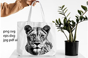 LION FAMILY set, an Animal Illustration by IPVector (Thumbnail 10 of 13)