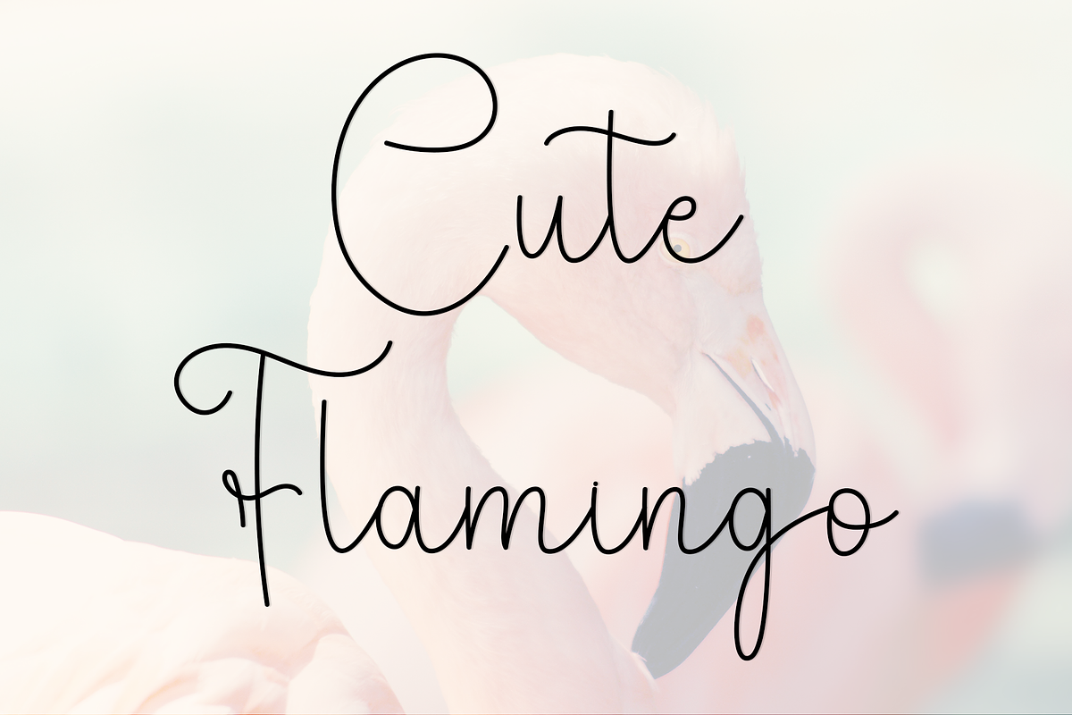 Beauty Flamingo, a Handwritten Font by InermediaSTUDIO (Photo 5 of 7)