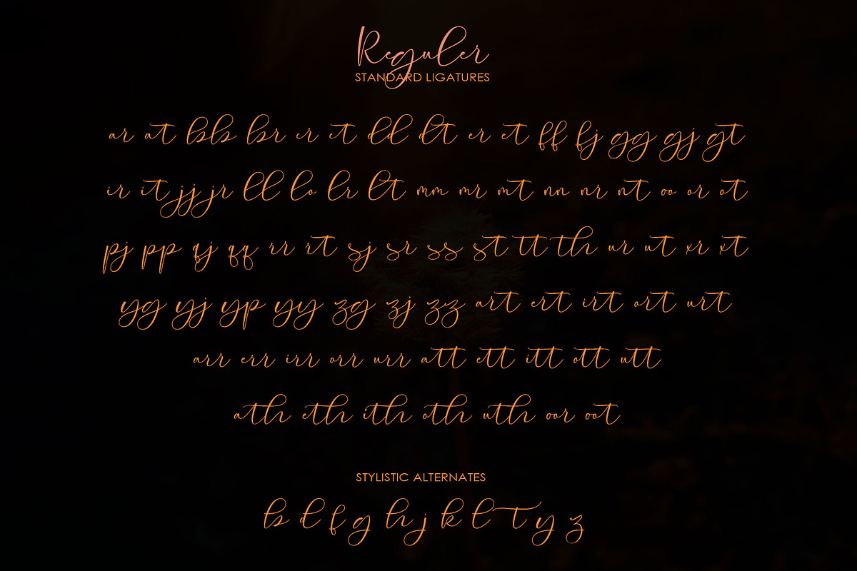 Roommates Script (Reguler & Slant), a Script Font by Jhoel Design (Photo 13 of 16)