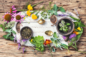 Herbs medicine containing herb, healthy, and plant, a Health & Medical Photo by MLunov MLunov
