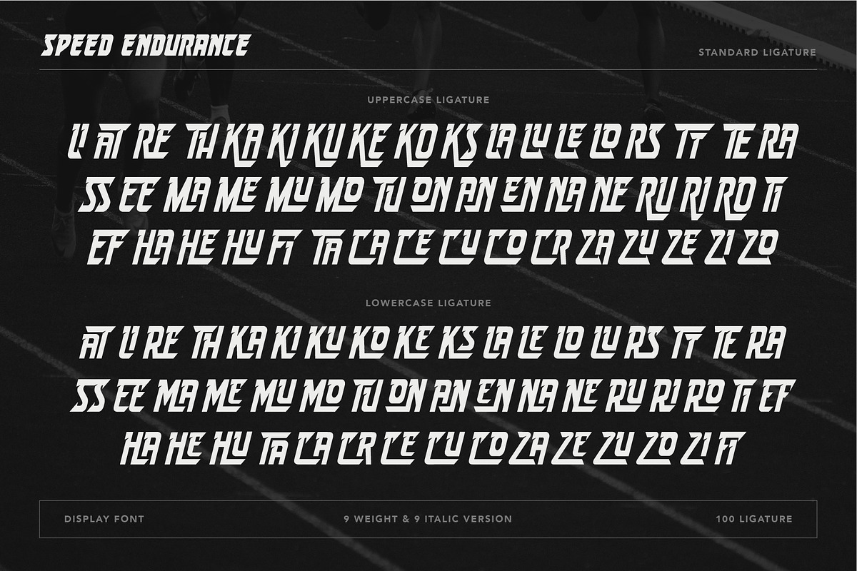 Speed Endurance, a Sans Serif Font by Burntilldead (Photo 7 of 10)