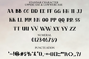 Orchid Flower, a Script Font by FreshTypeINK (Thumbnail 6 of 8)