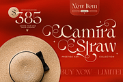 Riona - Luxury Swash Logo Font, a Serif Font by Sensatype (Thumbnail 6 of 12)