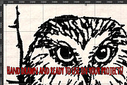 Bird Sketches 16 Hand Drawn Vectors, an Animal Illustration by Violet LeBeaux (Thumbnail 3 of 3)