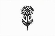 Floral Outline Vector Pack, an Illustration by yasushie (Thumbnail 5 of 21)