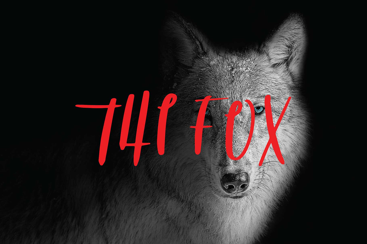 The fox font