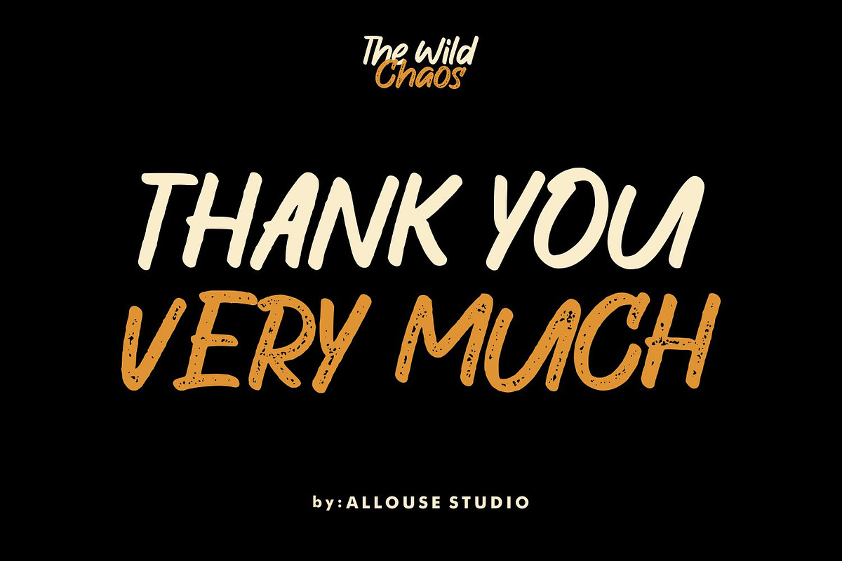 The Wild Chaos Font, a Script Font by Allouse Studio (Photo 3 of 16)
