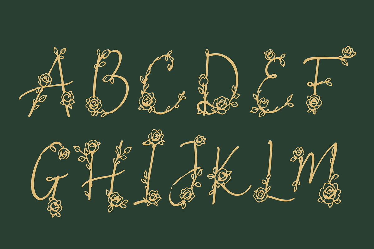 HoneiMoylavi, Delicate Floral Script, a Script Font by HypeWorksCo (Photo 16 of 19)