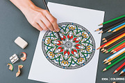 530 Vector Mandala Ornaments, an Animal Illustration by pixaroma (Thumbnail 21 of 55)
