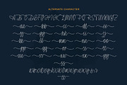 Patternly | Monoline Script, a Script Font by Lemonthe (Thumbnail 5 of 9)