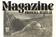 Pronema - Modern Serif, a Serif Font by tebaltipislab (Thumbnail 11 of 13)