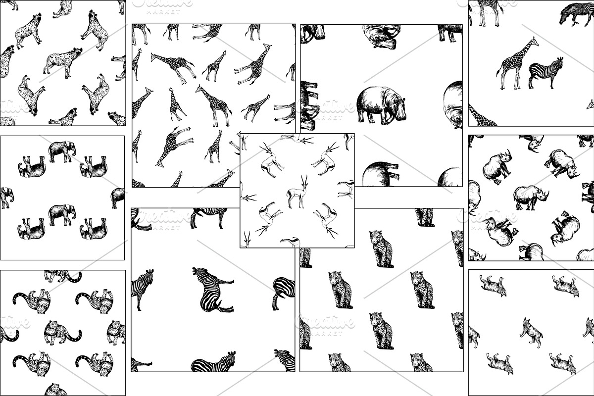 Wild Animals 2, an Animal Illustration by Ecaterina Sciuchina (Photo 3 of 4)