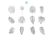 Monstera Procreate Stamp Brushes, a Brush Add-On by Cate Shaner (Thumbnail 2 of 4)