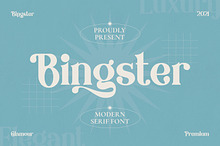 Bringster - Modern Serif Font