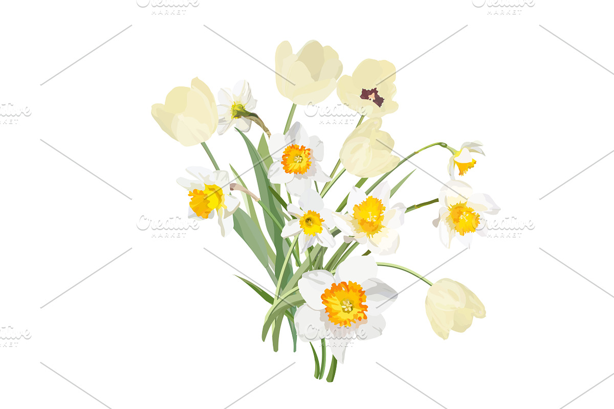 Vector object brushes. Daffodils, a Brush Add-On by Peolla (Photo 10 of 11)