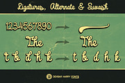 Broffont - Retro Baseball Script, a Script Font by dexsarharryfonts (Thumbnail 3 of 4)