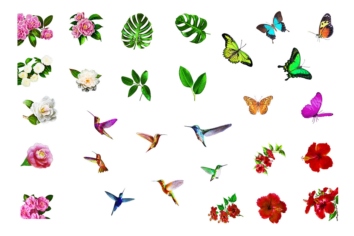 Tropical Oil Motives - PNG Files Set, an Object Illustration by Kseniya-Omega (Photo 7 of 9)