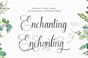 Enchanting Script Font