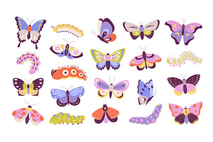 Colorful Doodle Butterfly And