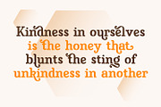 Honey Cages, a Serif Font by Nathatype (Thumbnail 2 of 10)