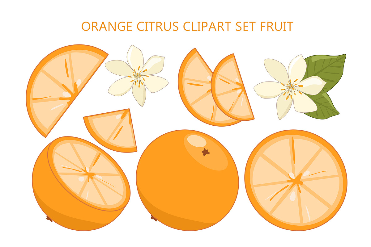 Orange Citrus Clipart Set Fruit, an Object Graphic by Vaniuta_Art (Photo 1 of 3)