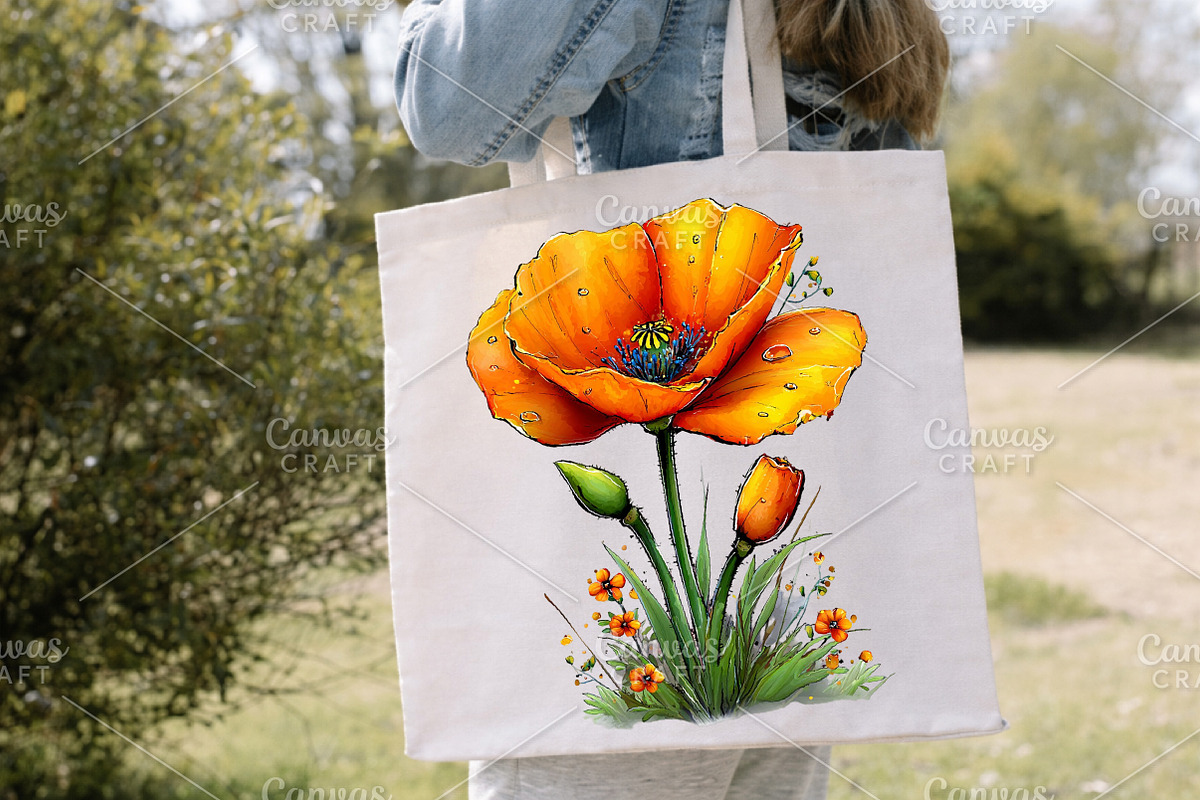 Spring Meadow Poppies Clipart Bundle, an Illustration by Canvas Craft (Photo 5 of 7)