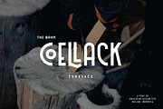 Whole Store Bundle | 95 OFF, a Serif Font by Swistblnk Std. (Thumbnail 19 of 60)