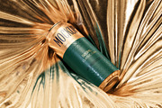 500ml Can Mockup | Foil Scene, a Packaging Mockup by AY Mock-Ups (Thumbnail 2 of 7)