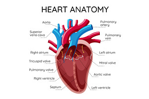 Detailed Illustration of the, an Object Illustration by Things for designers
