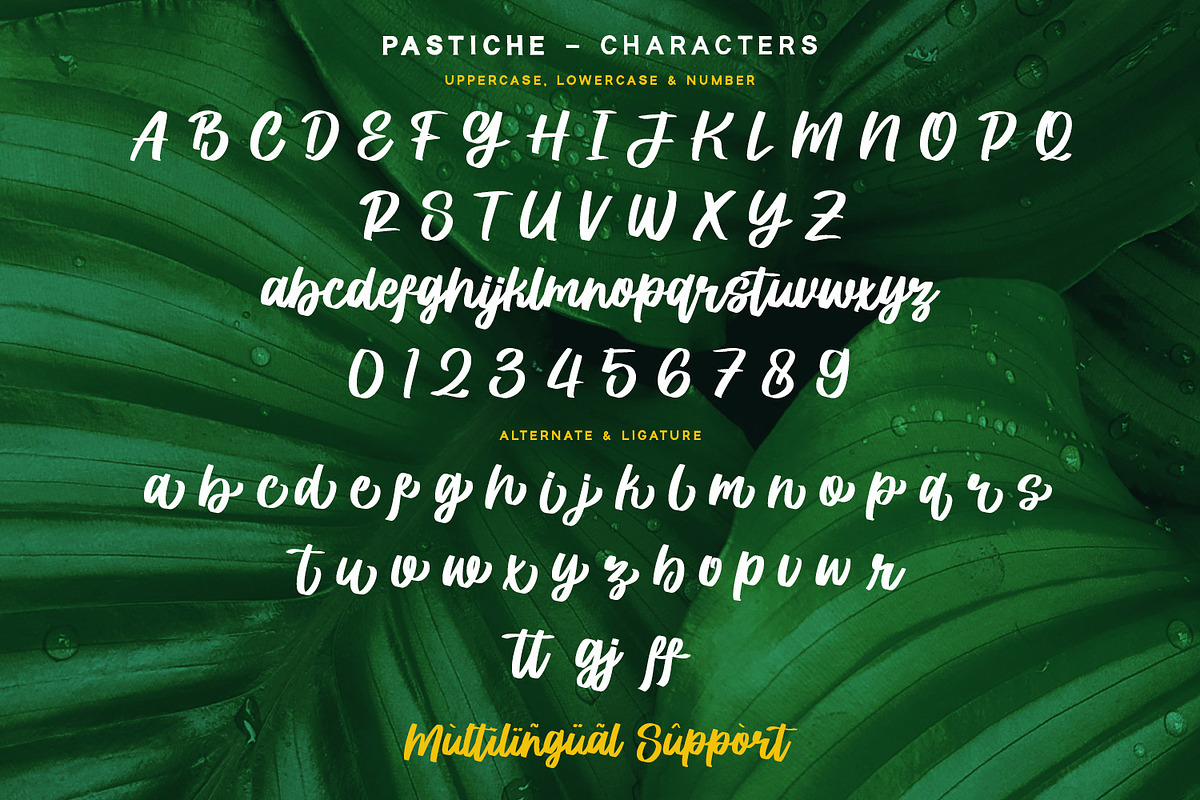 Prestiche - Bold Script, a Script Font by Alpaprana (Photo 5 of 10)