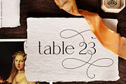 August Roma // luxury serif font, a Serif Font by PeachCreme (Thumbnail 15 of 25)