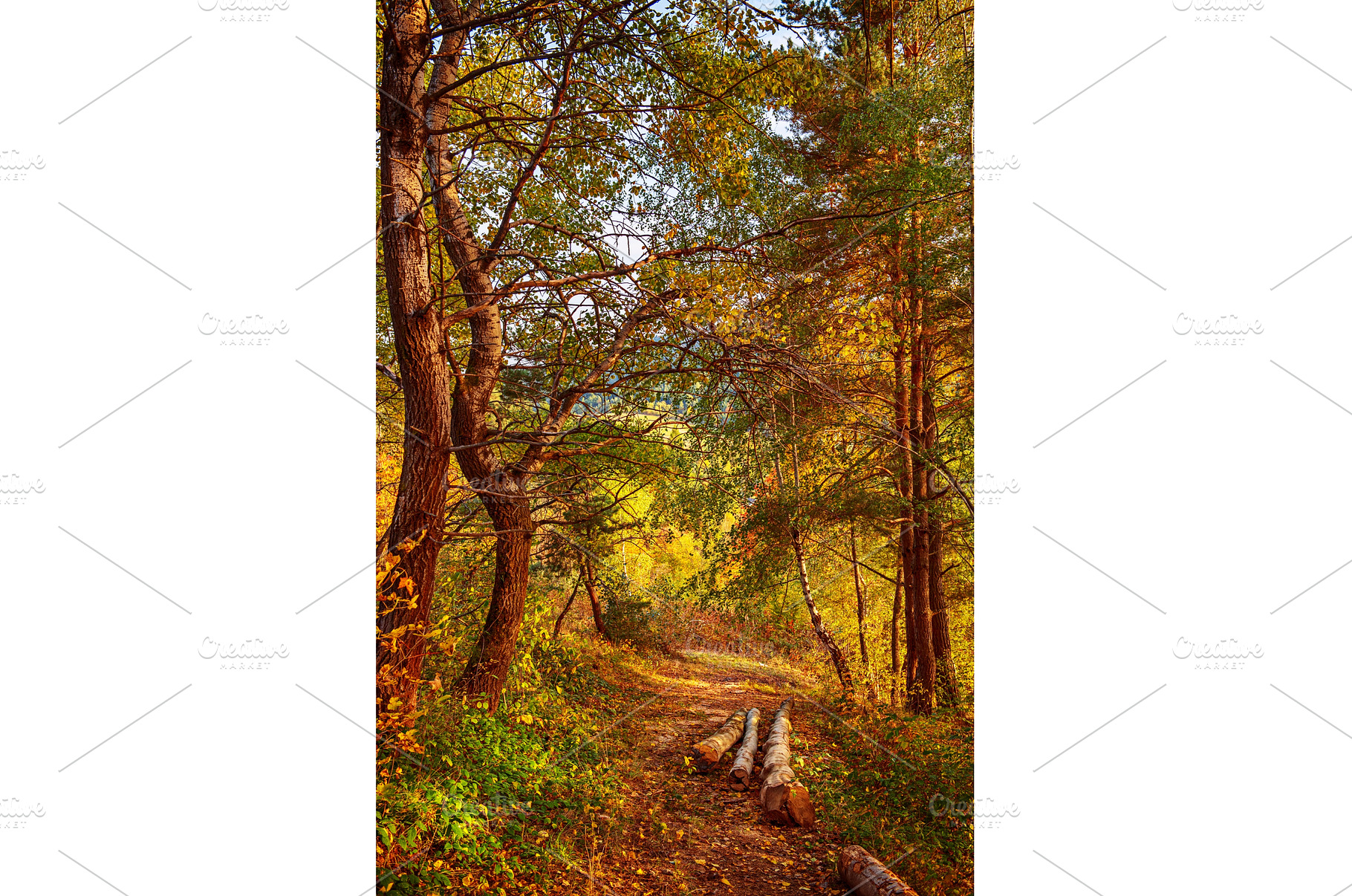 Beautiful autumn landscape, a Nature Photo by Nature and travel