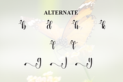 Butterfly | Script Font, a Handwritten Font by Scratchones (Thumbnail 8 of 9)