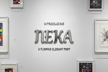 Neka - Elegant Modern Serif Typeface
