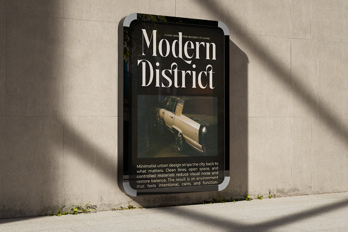 Disriete Modern Serif Display, a Serif Font by AmorfaType (Photo 10 of 11)