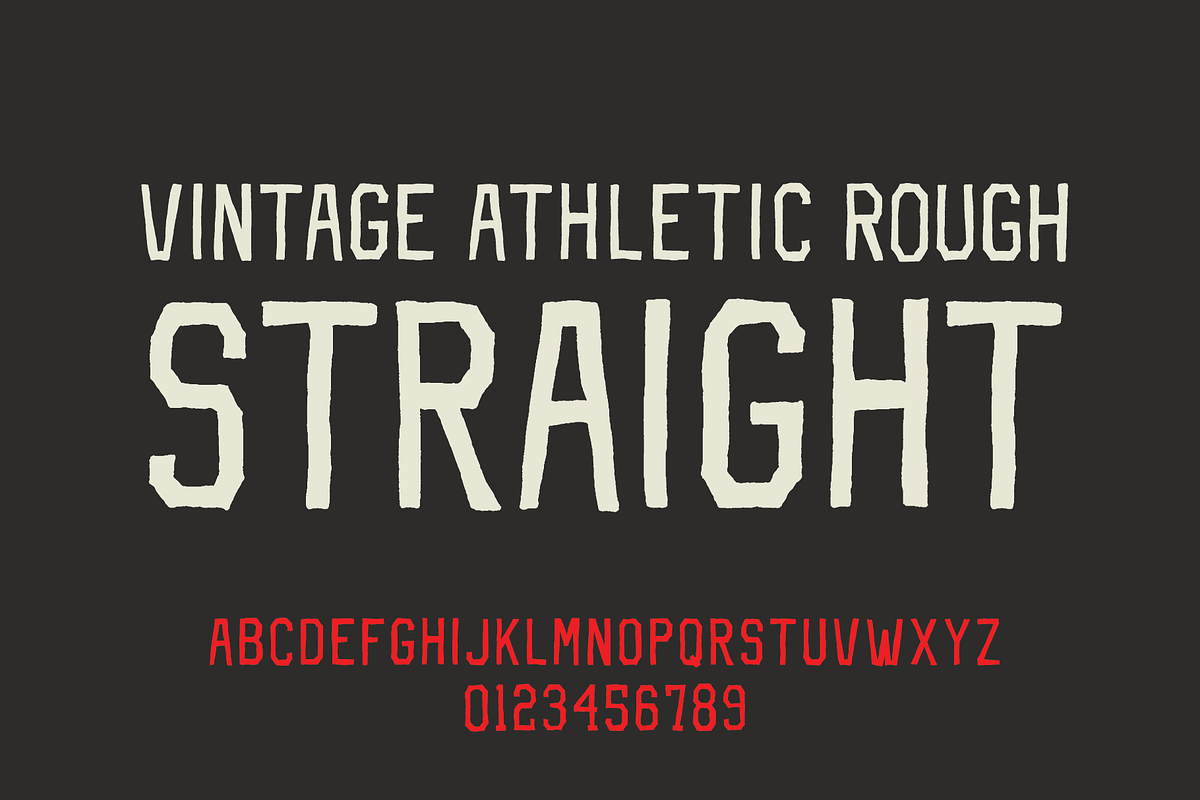 Vintage Athletic Bundle + Fonts, a Branding & Logo Template by Millieangelo (Photo 9 of 12)