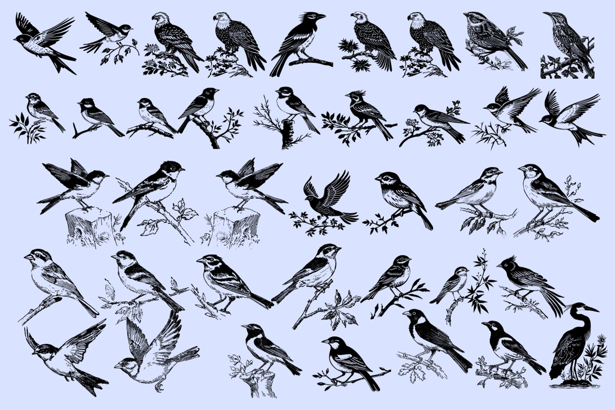 Chinese Culture vector illustrations, an Object Illustration by Nocturnal Wolf (Photo 14 of 19)