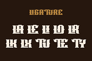 Lameros Tubule - Vintage Font, a Serif Font by Viswal Studio (Thumbnail 4 of 6)