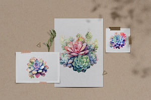 15 Succulents Watercolor Clipart