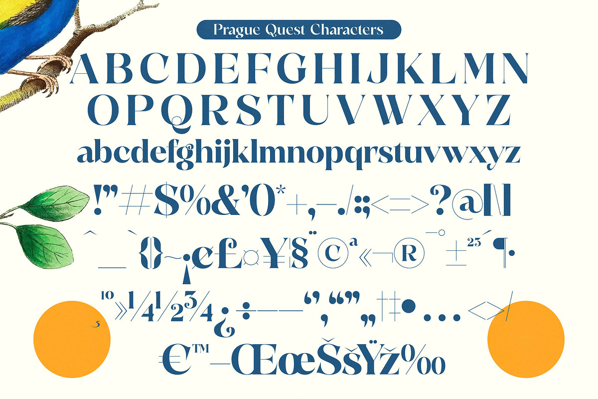 Prague Quest Modern Serif Font, a Serif Font by timelesstype.co (Photo 18 of 20)