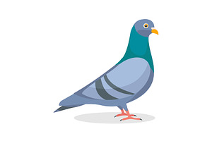 Cartoon character pigeon bird, an Animal Illustration by Viktorijareut
