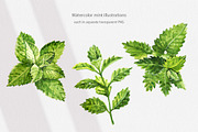 Cosmetic Ingredients Watercolor set, a Healthcare Illustration by Volha Studio (Thumbnail 4 of 19)