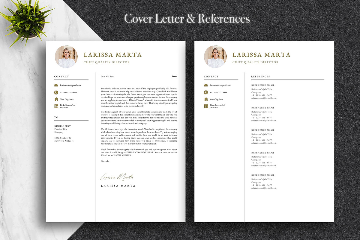 Modern Resume Template Pack | Canva, a Resume Template by Lux Resume (Photo 4 of 9)