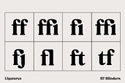 BT Blindern, a Serif Font by BadType (Thumbnail 6 of 9)