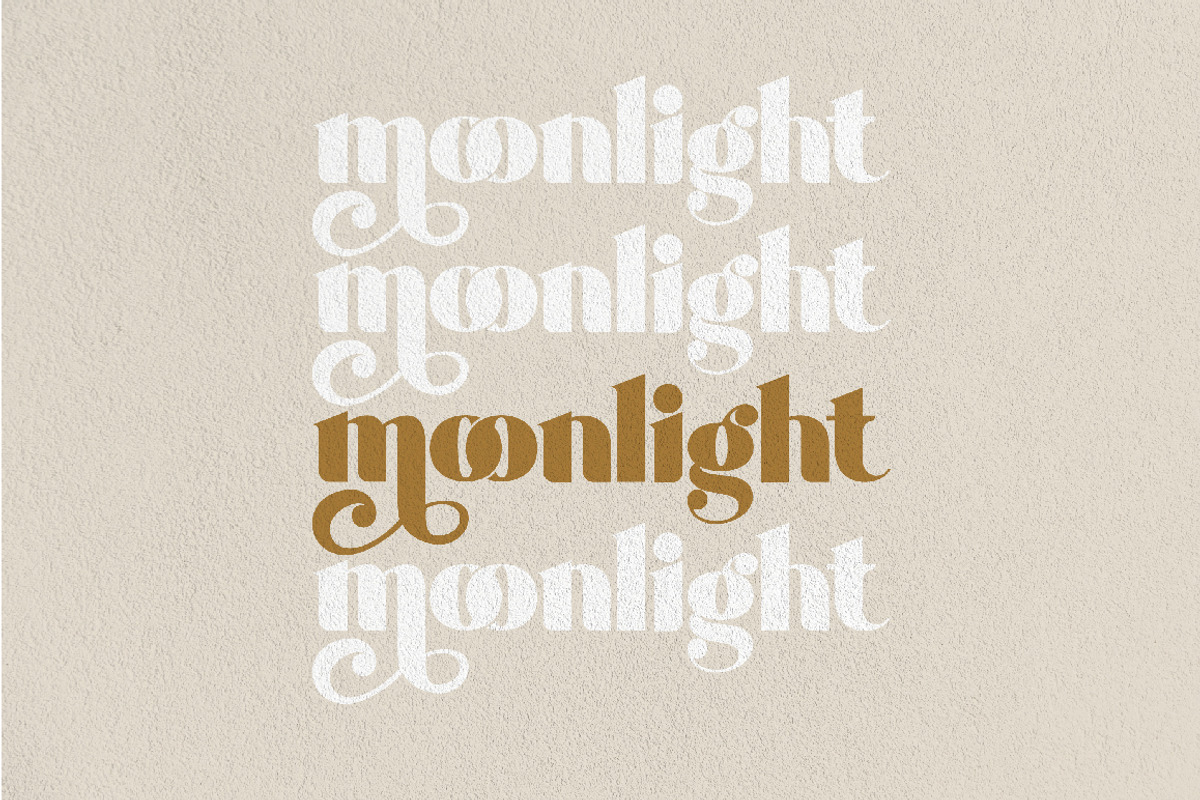 Shaqilla - modern serif, a Serif Font by ribethstudio (Photo 5 of 15)