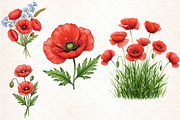 Watercolor Poppies Clipart, an Illustration by Libby Wishes (Thumbnail 4 of 6)