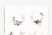 Neutral Boho Flowers, an Illustration by BlumenSoul (Thumbnail 2 of 13)