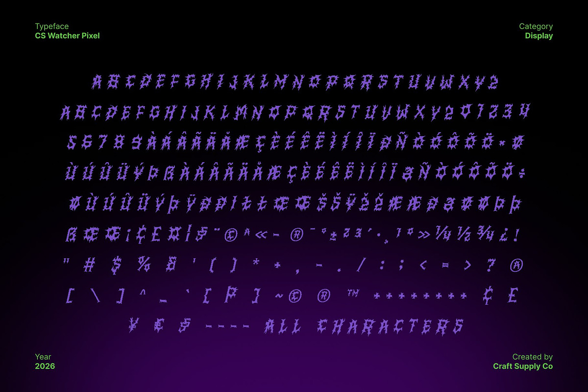 CS Watcher Pixel, a Blackletter Font by Craft Supply Co. (Photo 8 of 8)